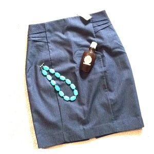 Express Pencil Skirt